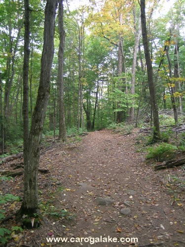 Kane Mountain Fire Tower Trail 95